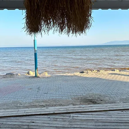 Apelles Butik * Seferihisar