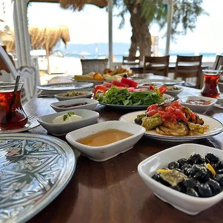 Отель Apelles Butik