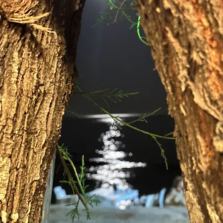 Apelles Butik Отель *